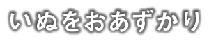 いぬをおあずかり